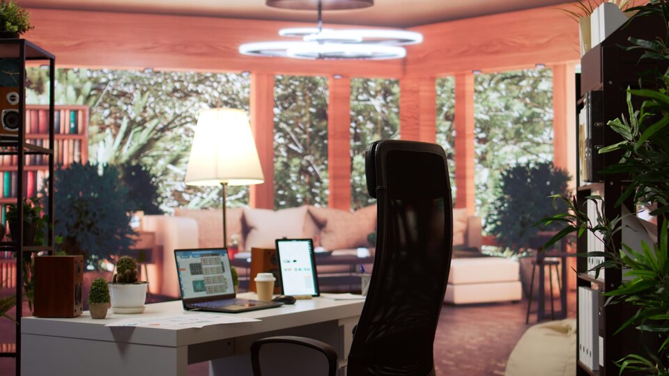 Office setup for entrepenaurs